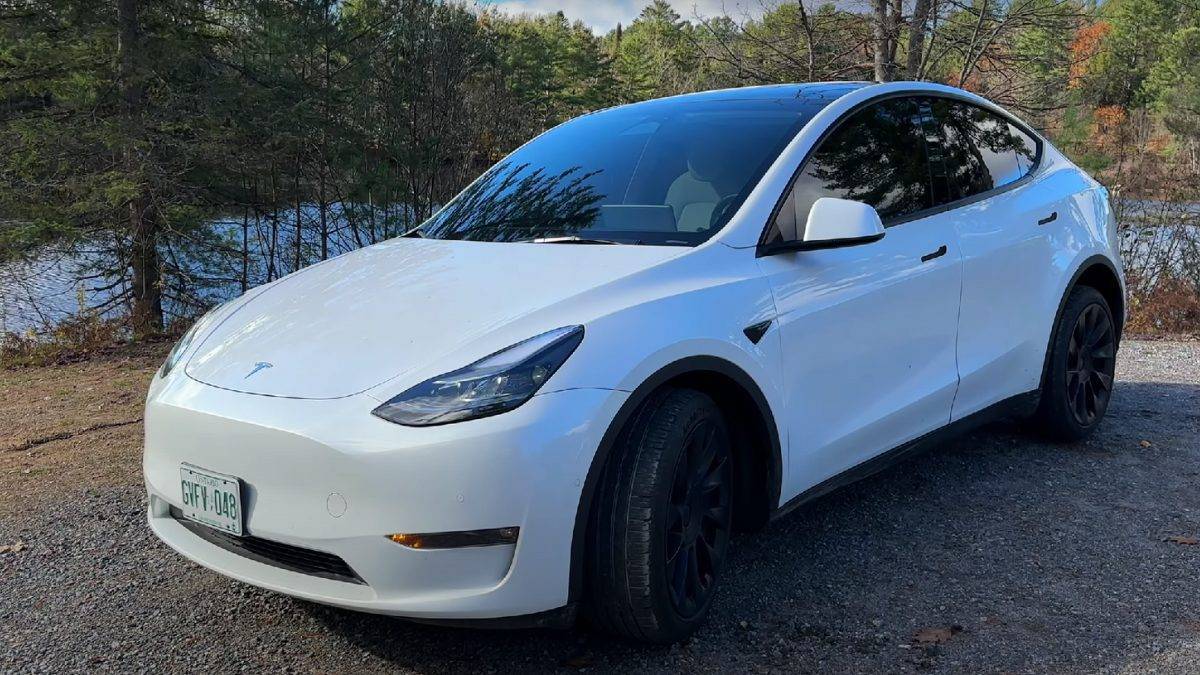 Tesla Model Y Before Buying